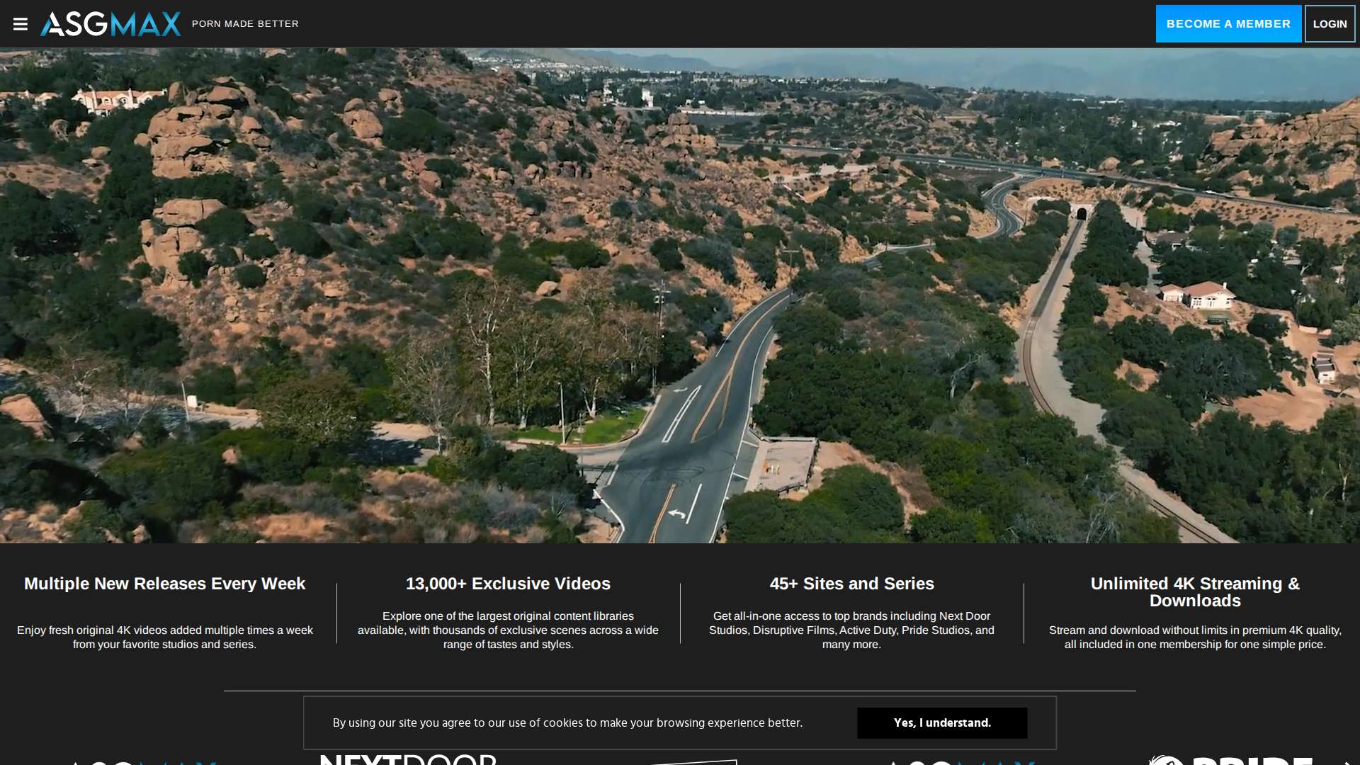 ASGMax - Desktop View