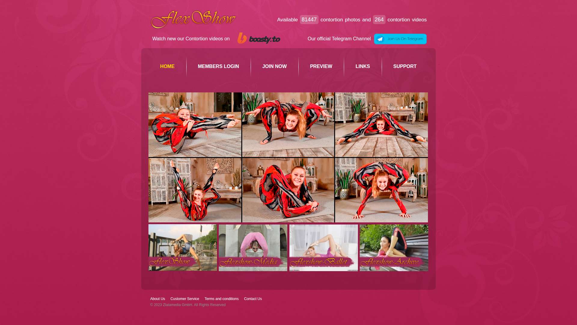Flexshow Media - Desktop View