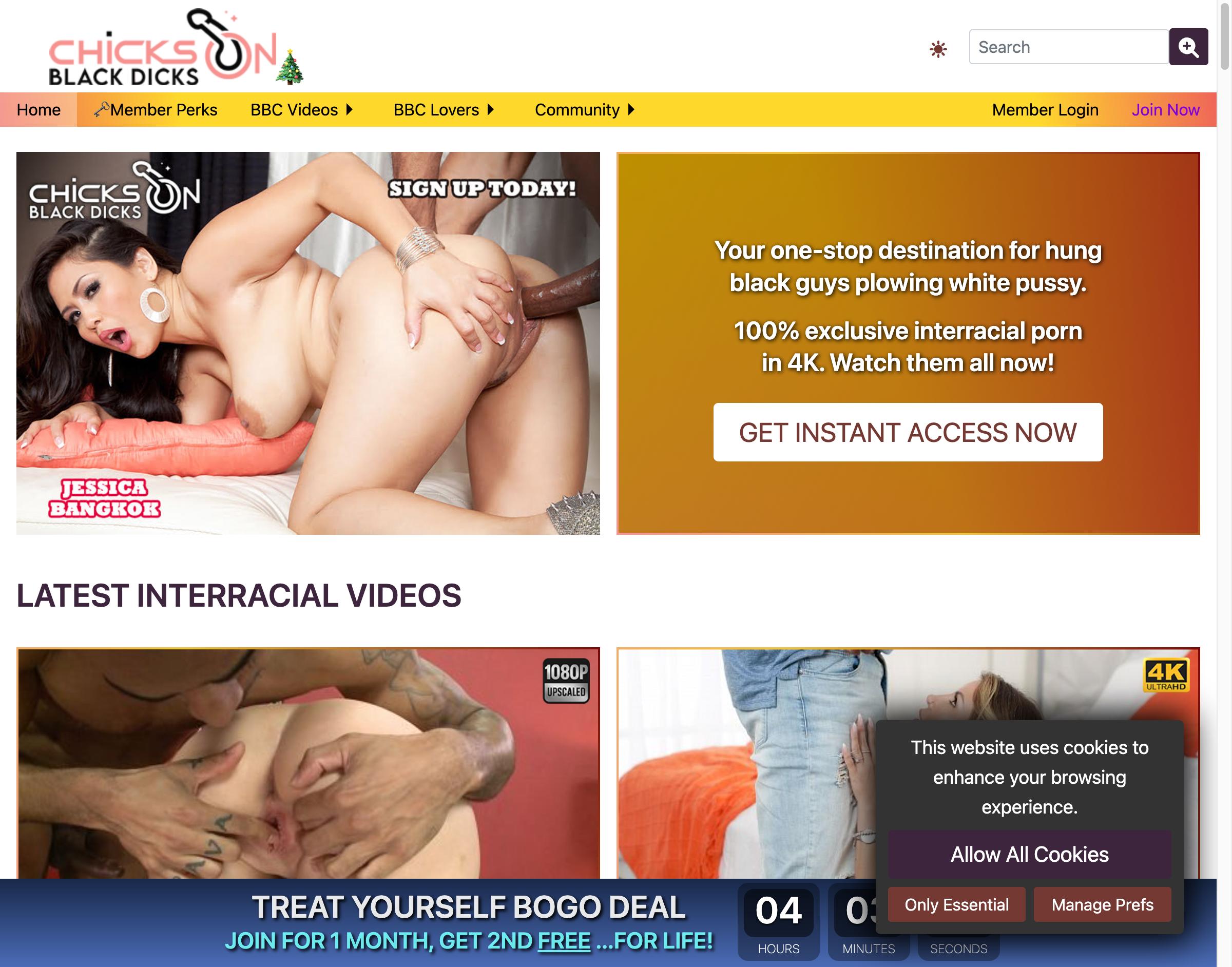 Chicks on Black Dicks