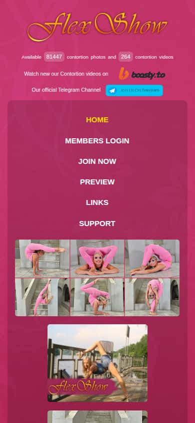 Flexshow Media - Mobile Screenshot