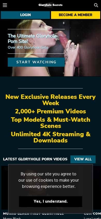 Gloryhole Secrets - Mobile Screenshot