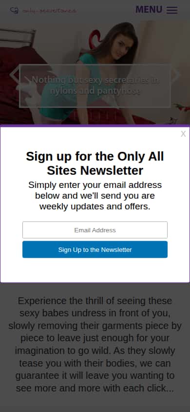Only Secretaries - Mobile Screenshot
