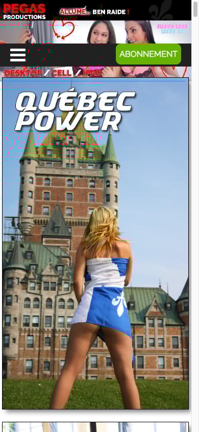 Pegas CA - Mobile Screenshot