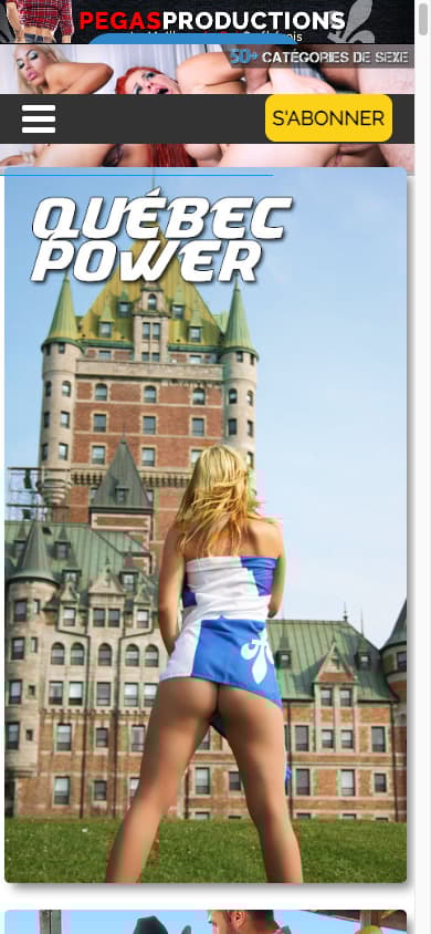 Pegas France - Mobile Screenshot