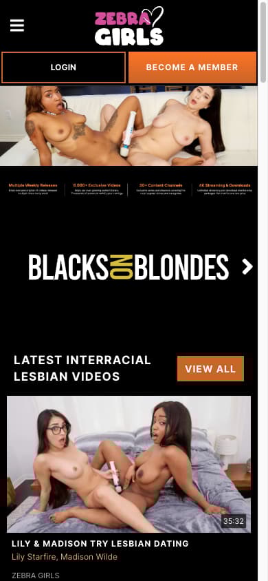 Zebra Girls - Mobile Screenshot